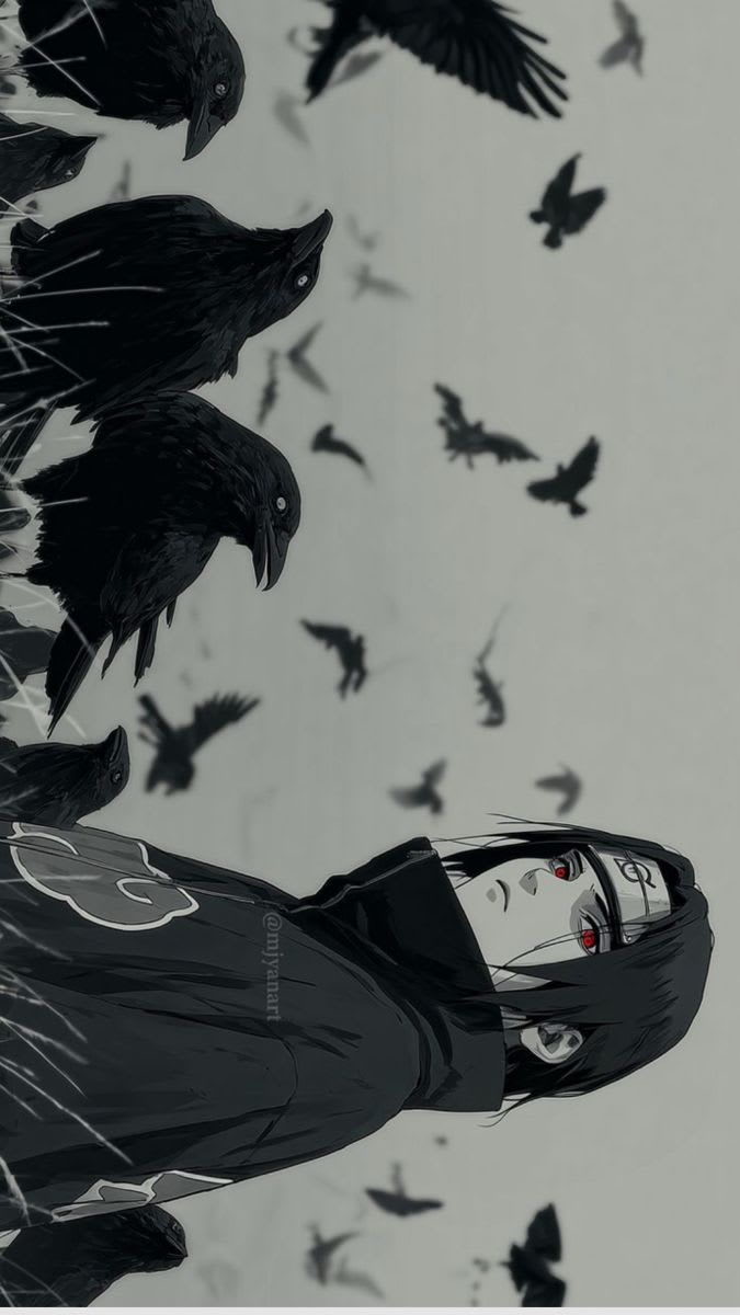 suhaan's Farcaster avatar