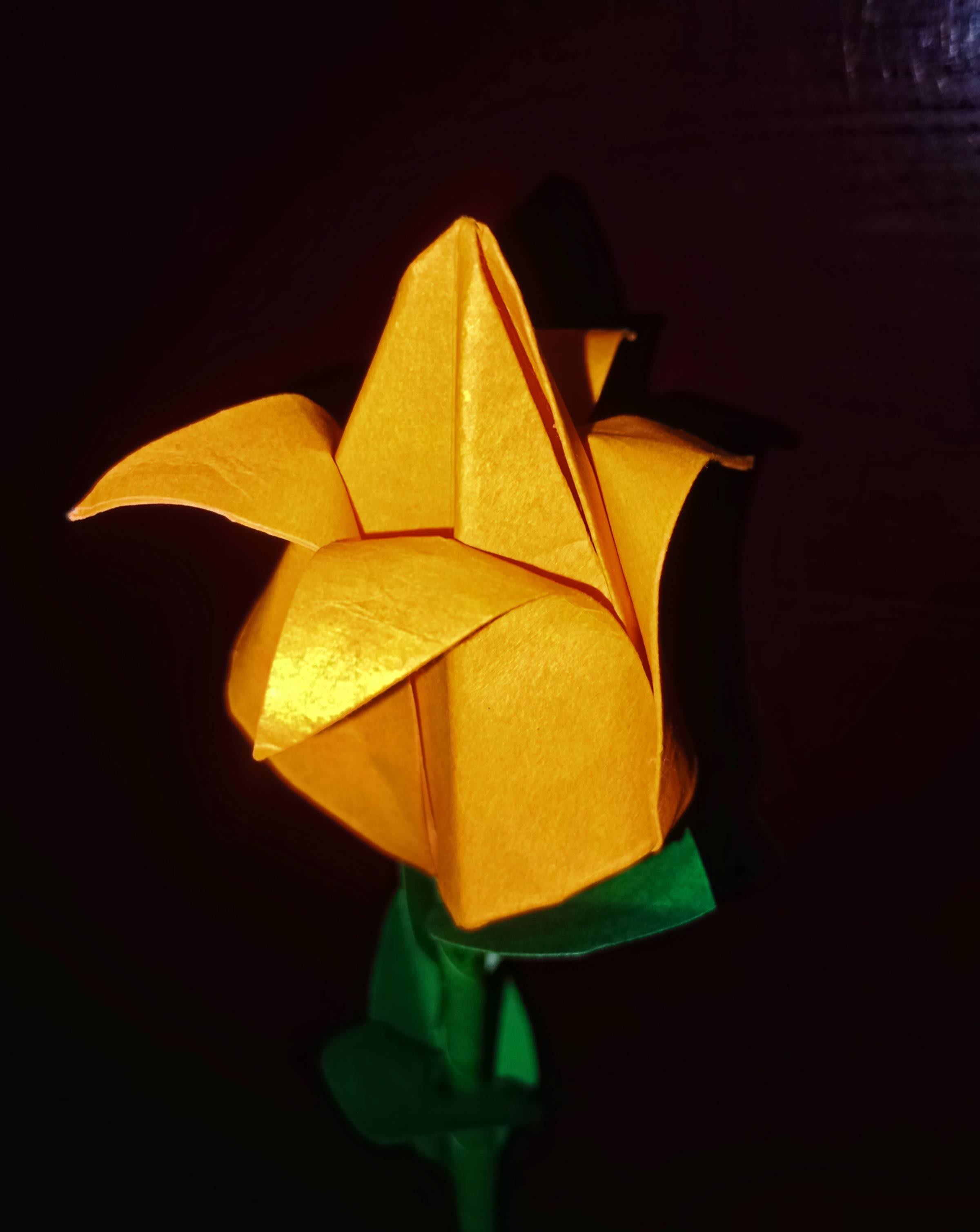 kimliki's Farcaster avatar