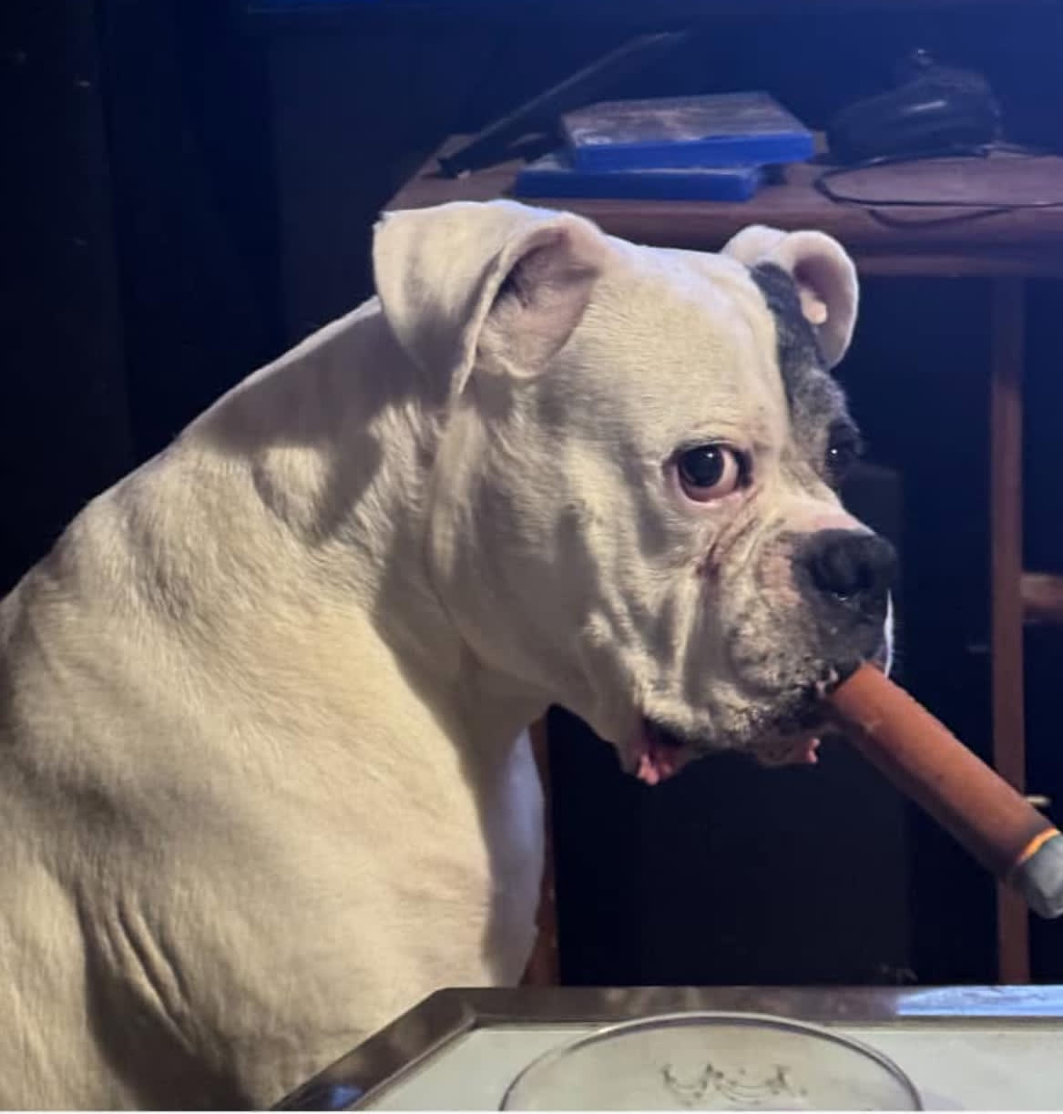 dannerdog.base.eth Basenames (.base.eth domains) based on ENS PFP