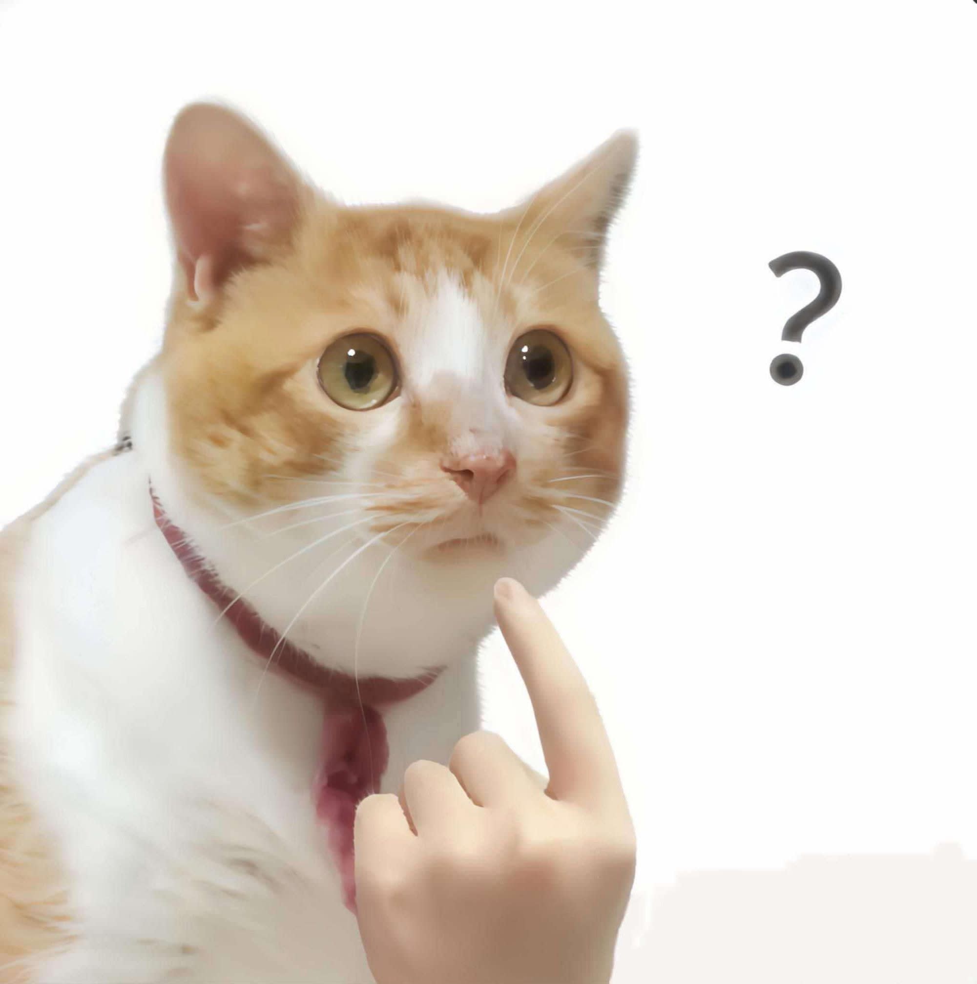 Mochi's Farcaster avatar