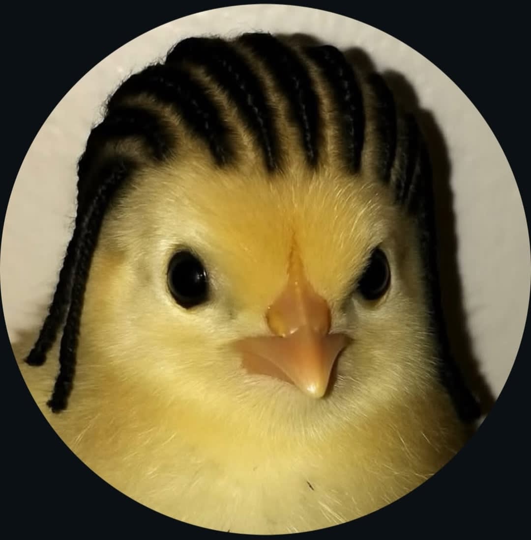 winardi09's Farcaster avatar