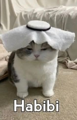 asepsekuter's Farcaster avatar