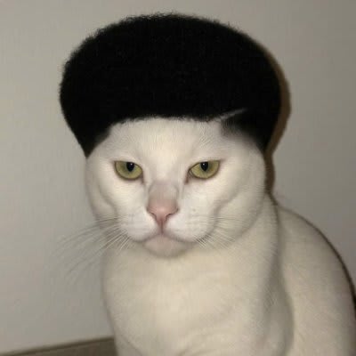 Qtien224's Farcaster avatar