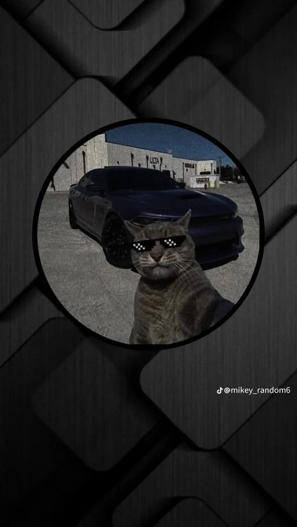 amare's Farcaster avatar