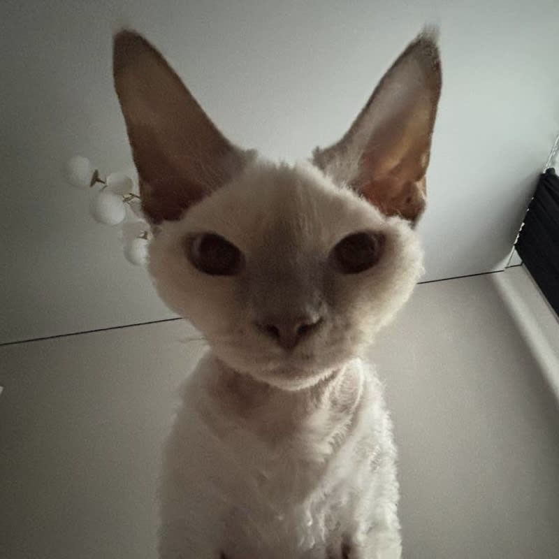 pohuymne's Farcaster avatar