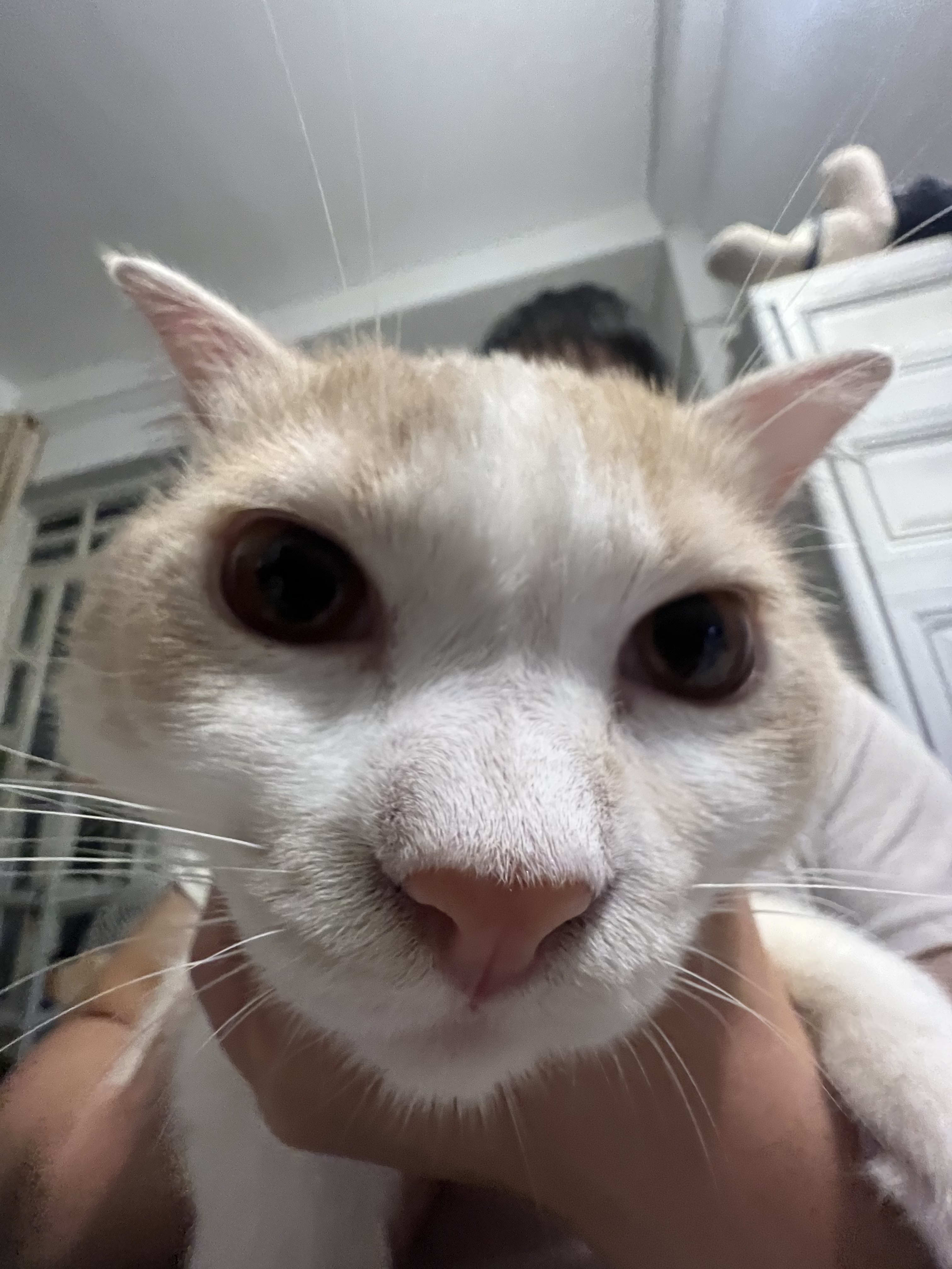 raymond.herondlabs's Farcaster avatar