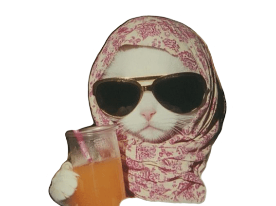satyaaa's Farcaster avatar