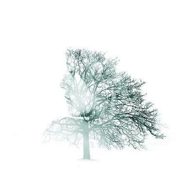 coolboy1379.base.eth Basenames (.base.eth domains) based on ENS PFP