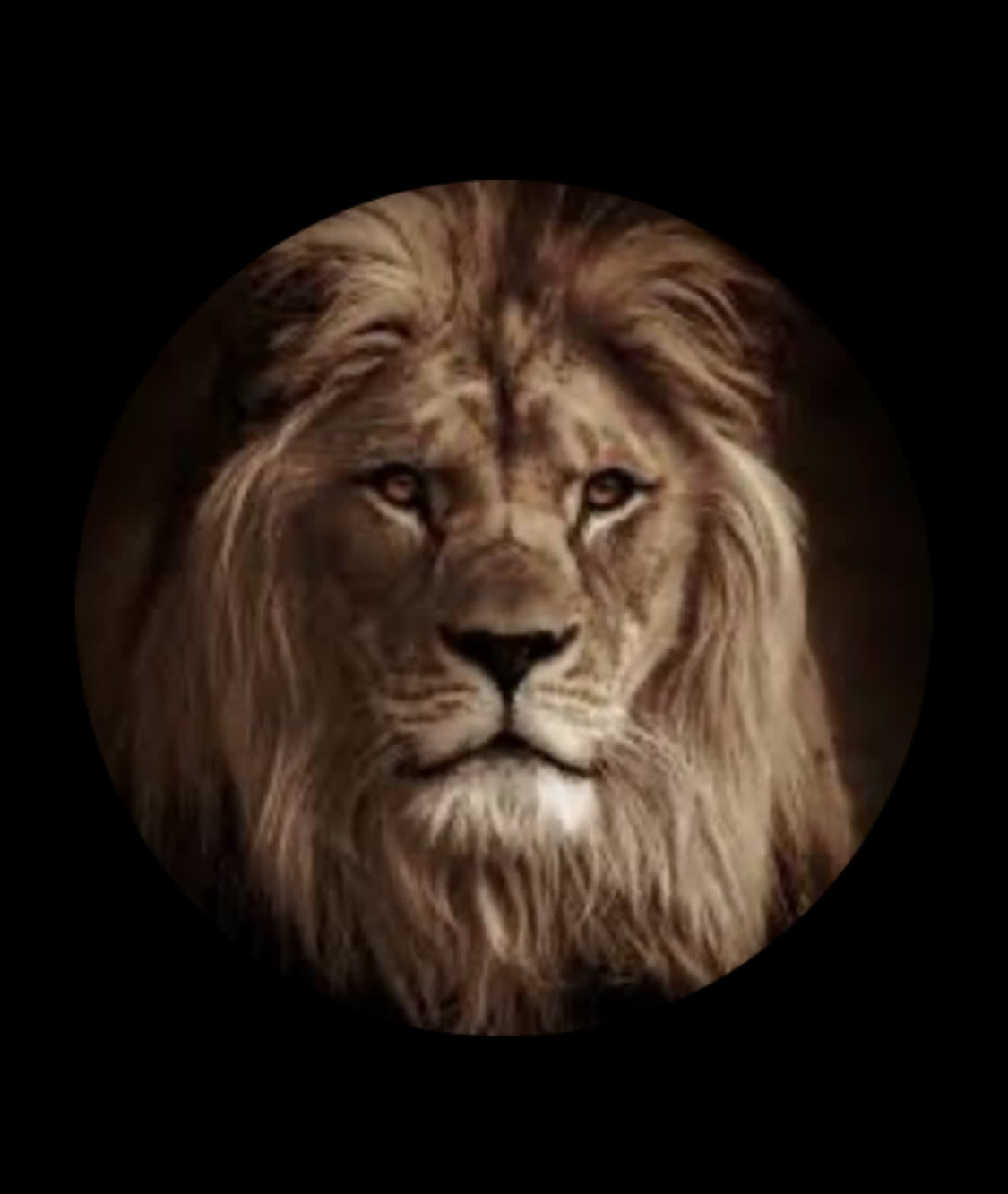plaintruthsevensevenseven (plaintruth777) Farcaster social identity (Fname handle) PFP