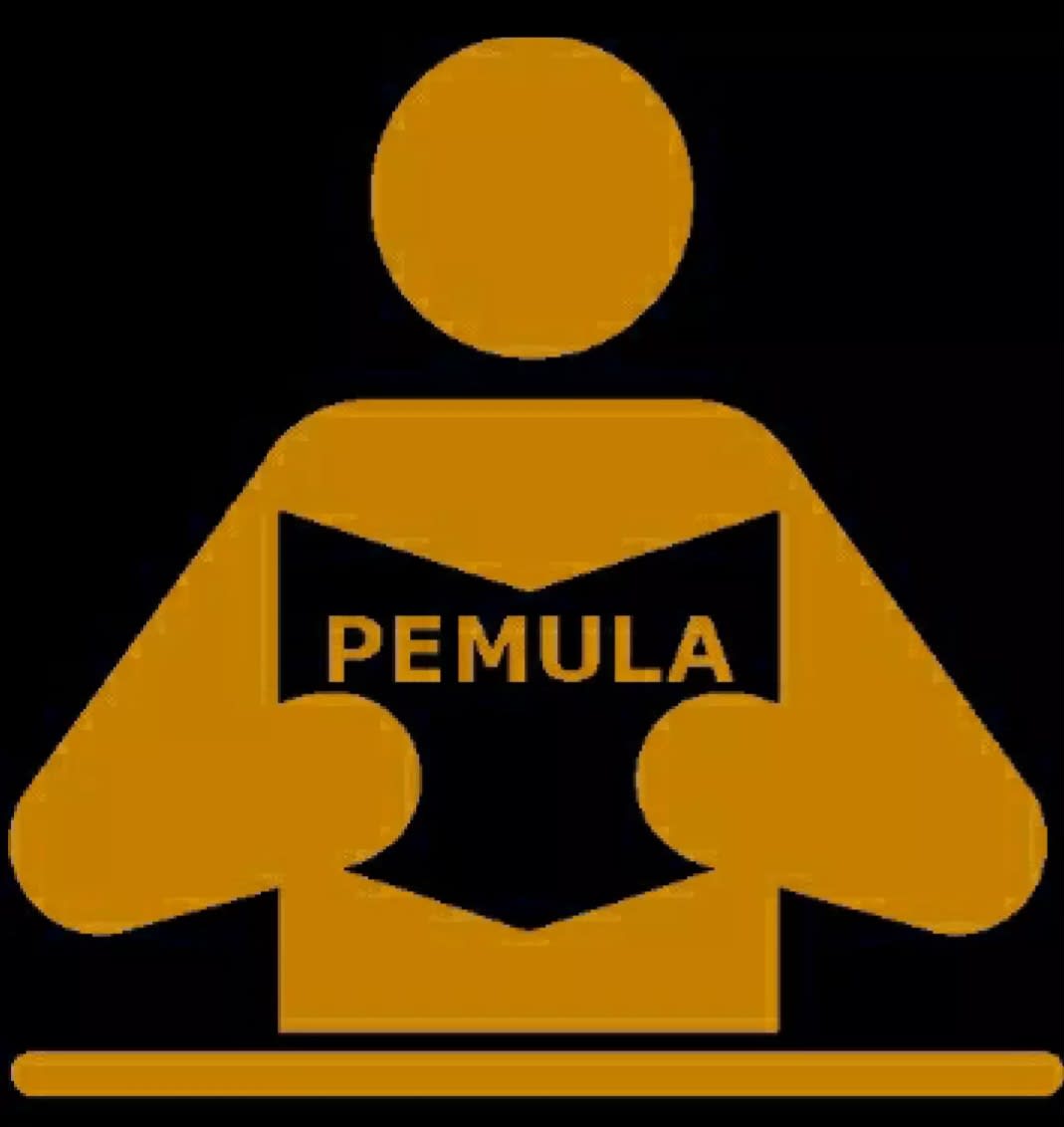 pemula's Farcaster avatar