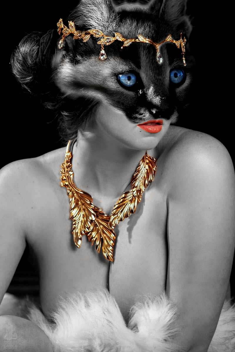 zy.inc's Farcaster avatar