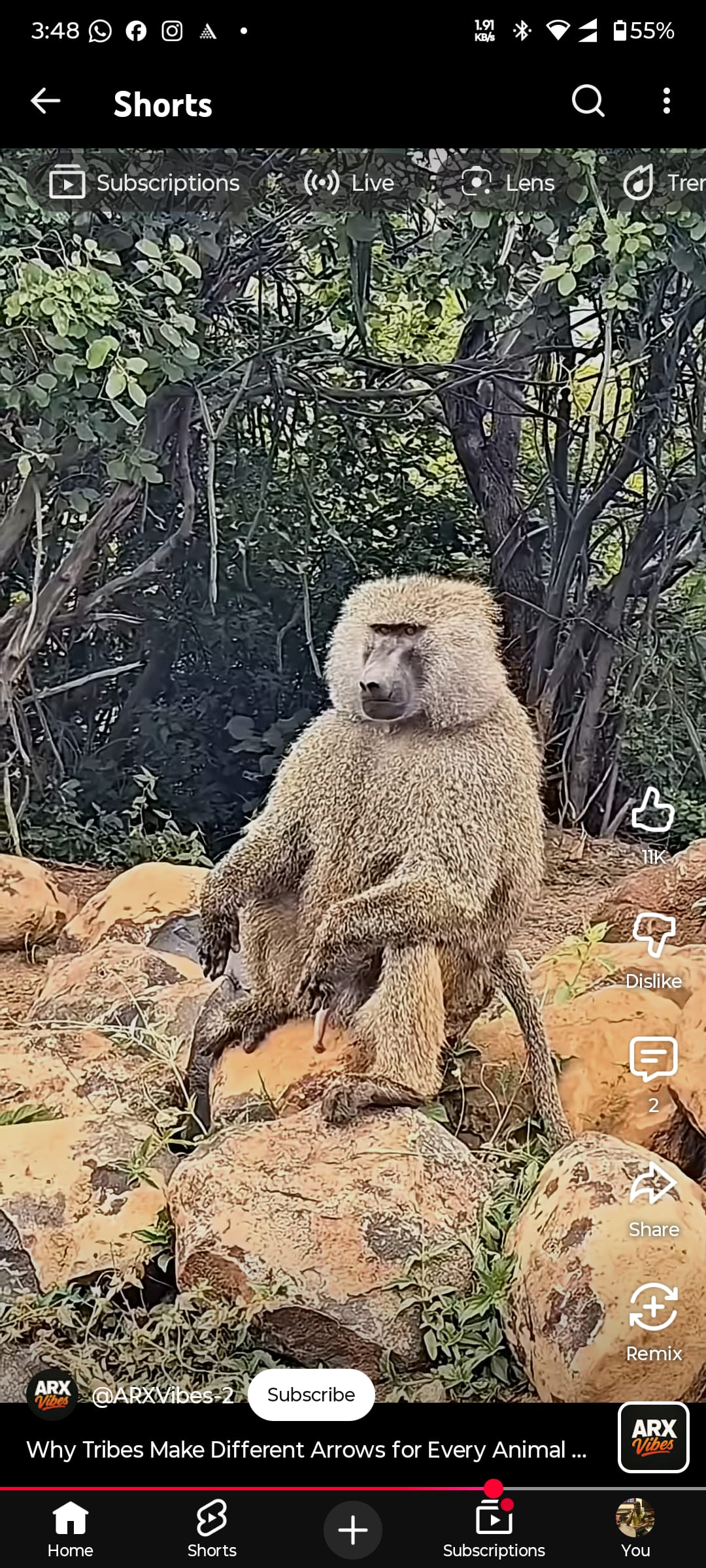 muna0880's Farcaster avatar