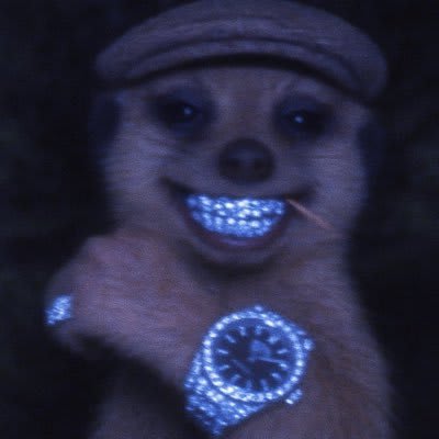 STUNNA's Farcaster avatar