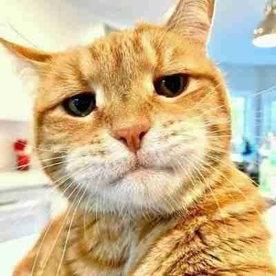 Whats ? (jesspoex) Farcaster social identity (Fname handle) PFP