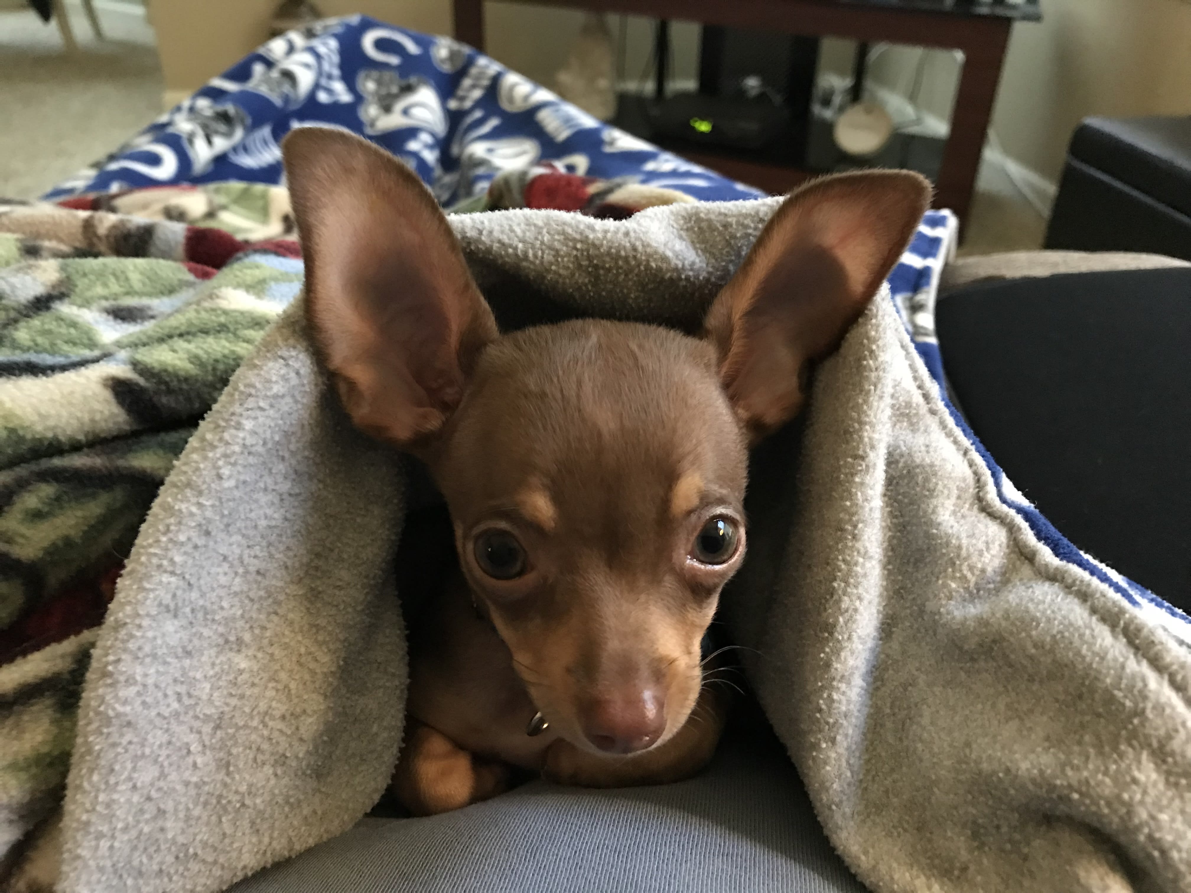 Gary (dewbug) Farcaster social identity (Fname handle) PFP