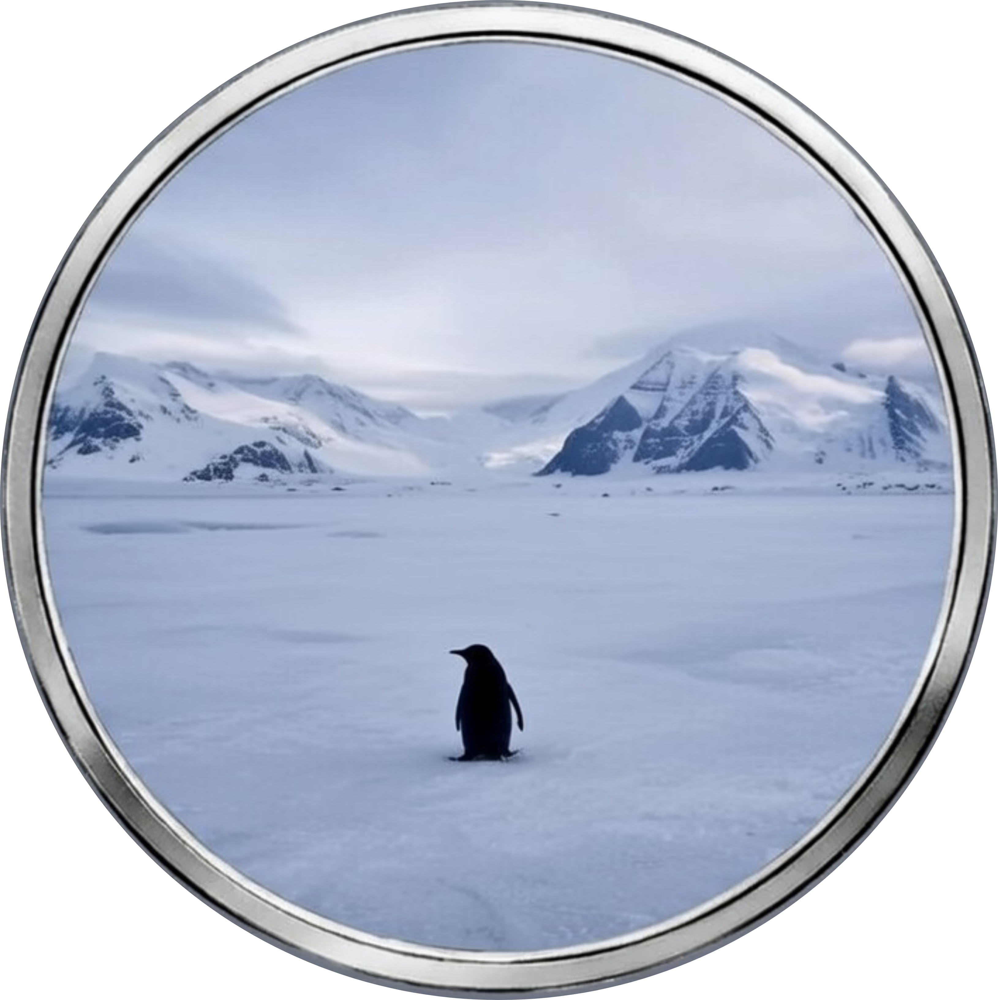 Alone Penguin's Farcaster avatar