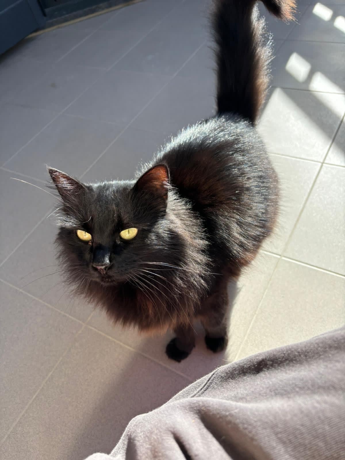 Lau90 (lau90.eth) Farcaster social identity (Fname handle) PFP