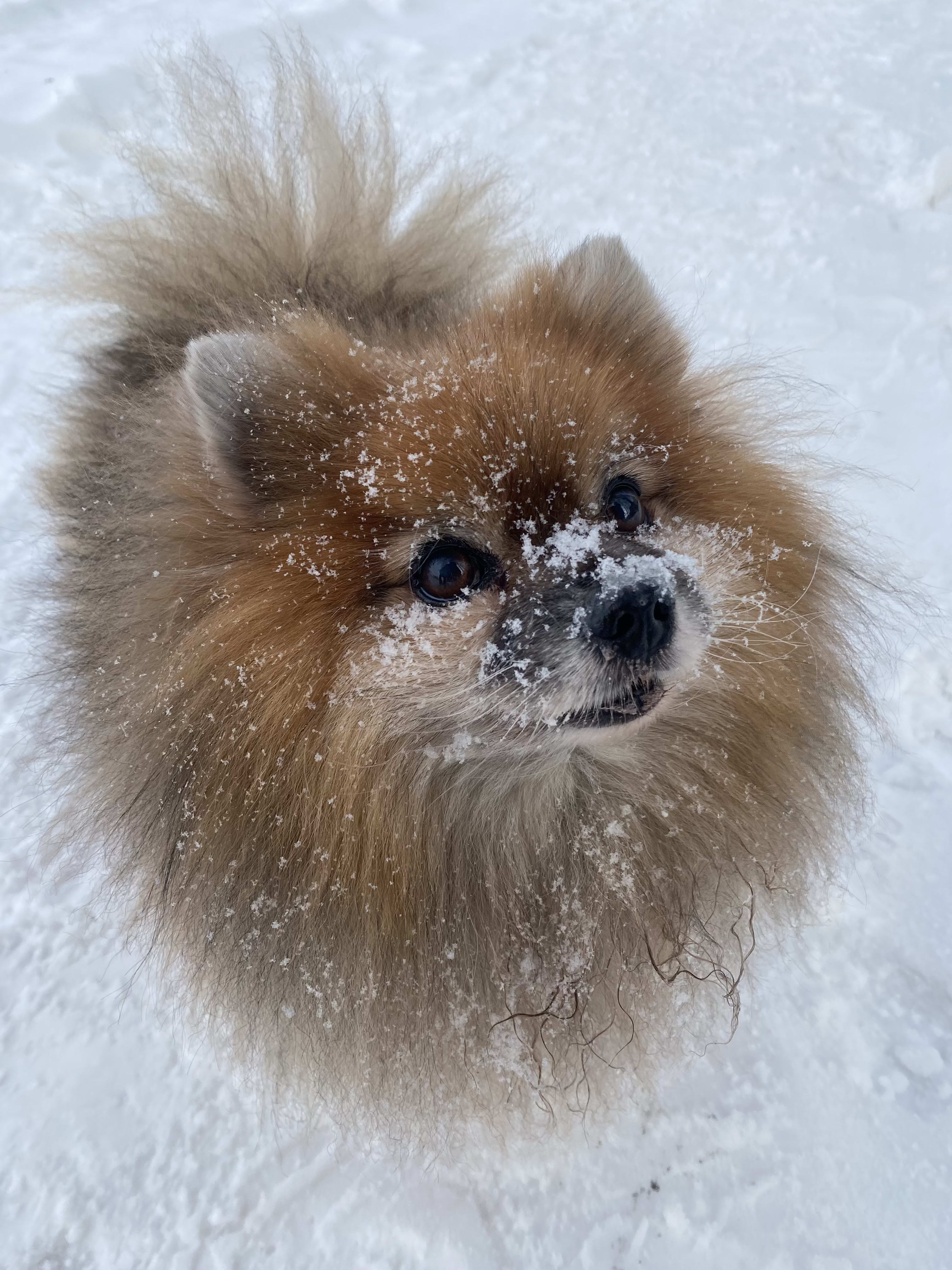 camillyan's Farcaster avatar