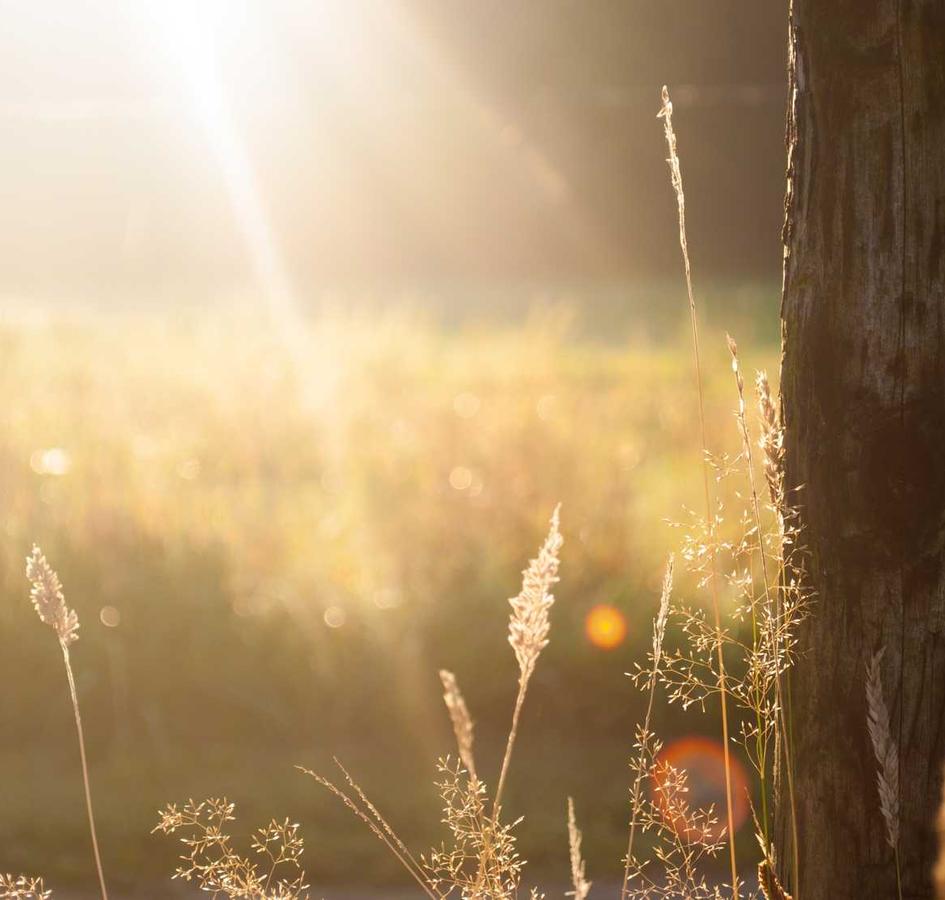 zirconiumlol081's Farcaster avatar