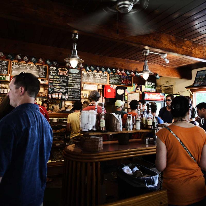 faye-03's Farcaster avatar