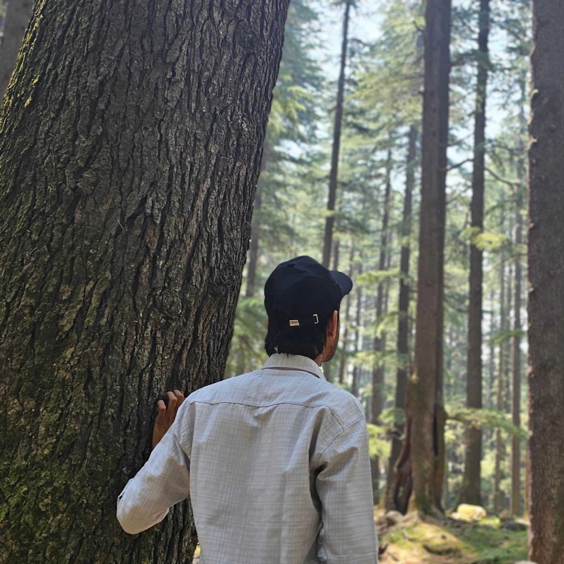 Prashantpatel's Farcaster avatar