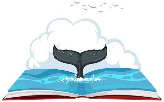 🐳 WhaleBook's Farcaster avatar