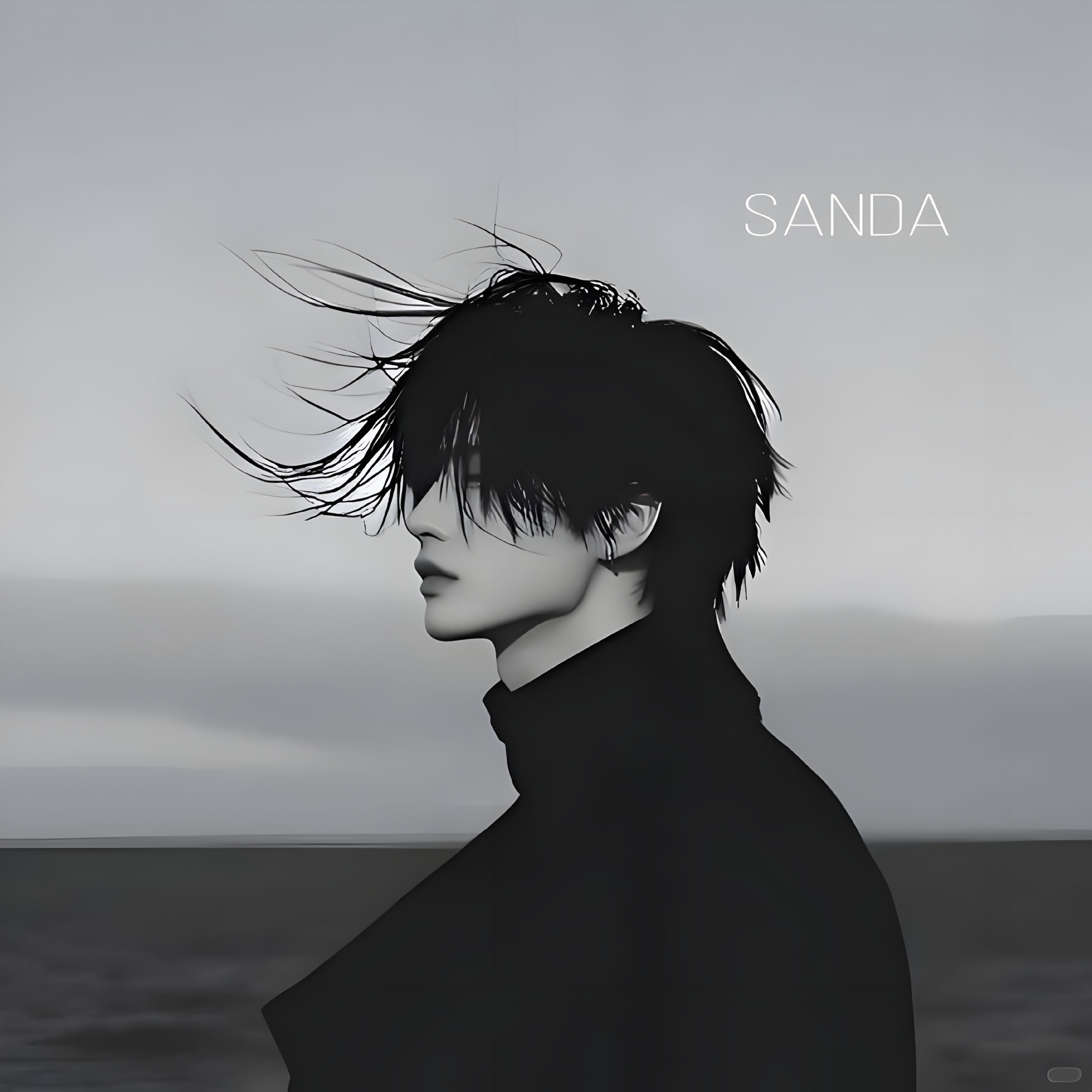 Sanda.eth 🇨🇳's Farcaster avatar