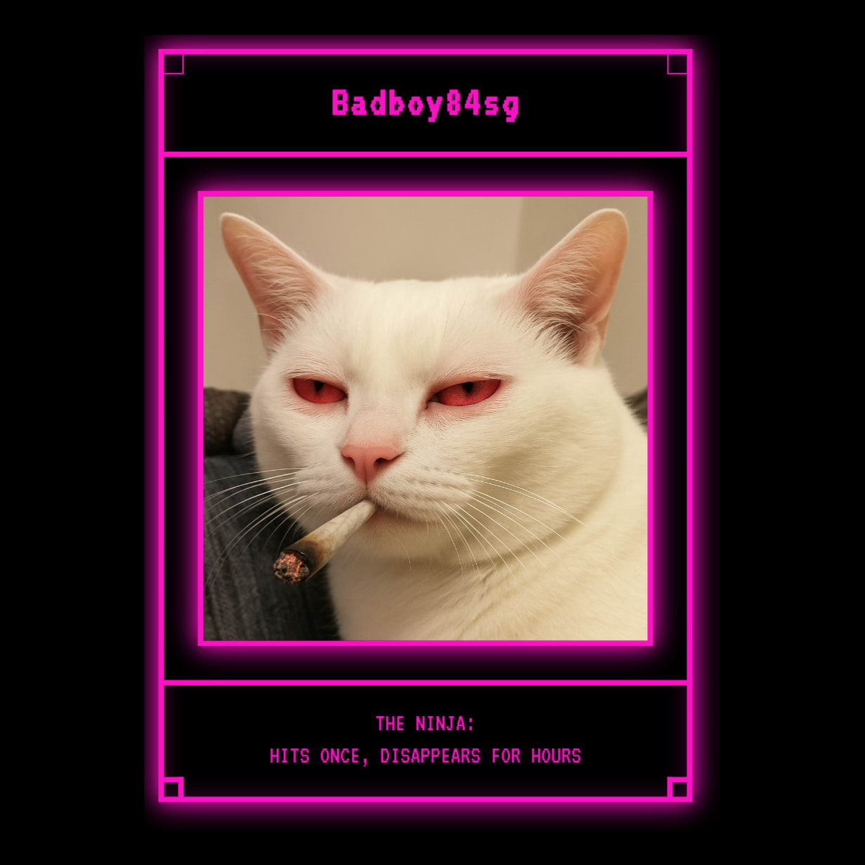 badboy84sg Farcaster social identity (Fname handle) PFP