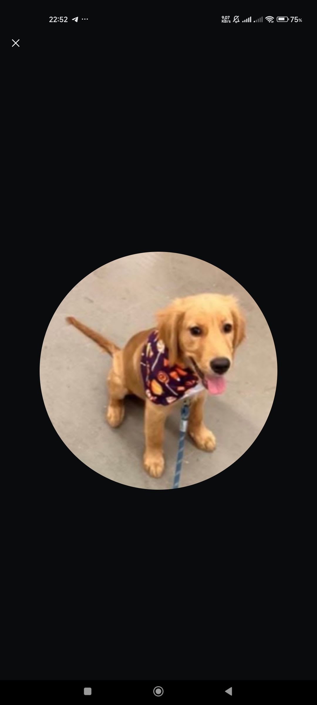 Galaxy.base (galxyy.base.eth) Farcaster social identity (Fname handle) PFP