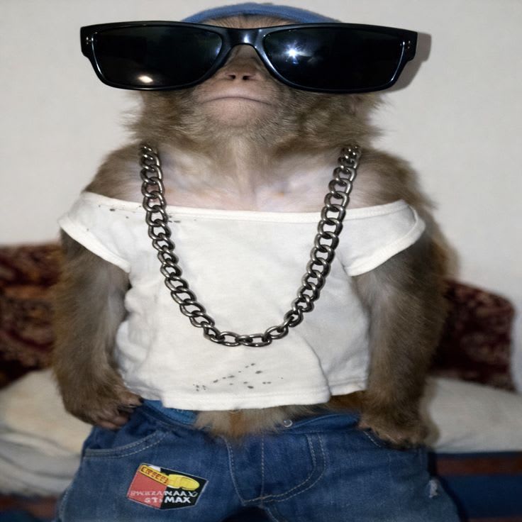 valentinaxd3d's Farcaster avatar