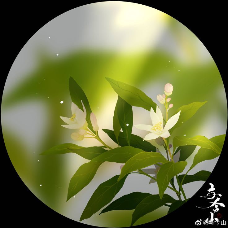 Sadik's Farcaster avatar