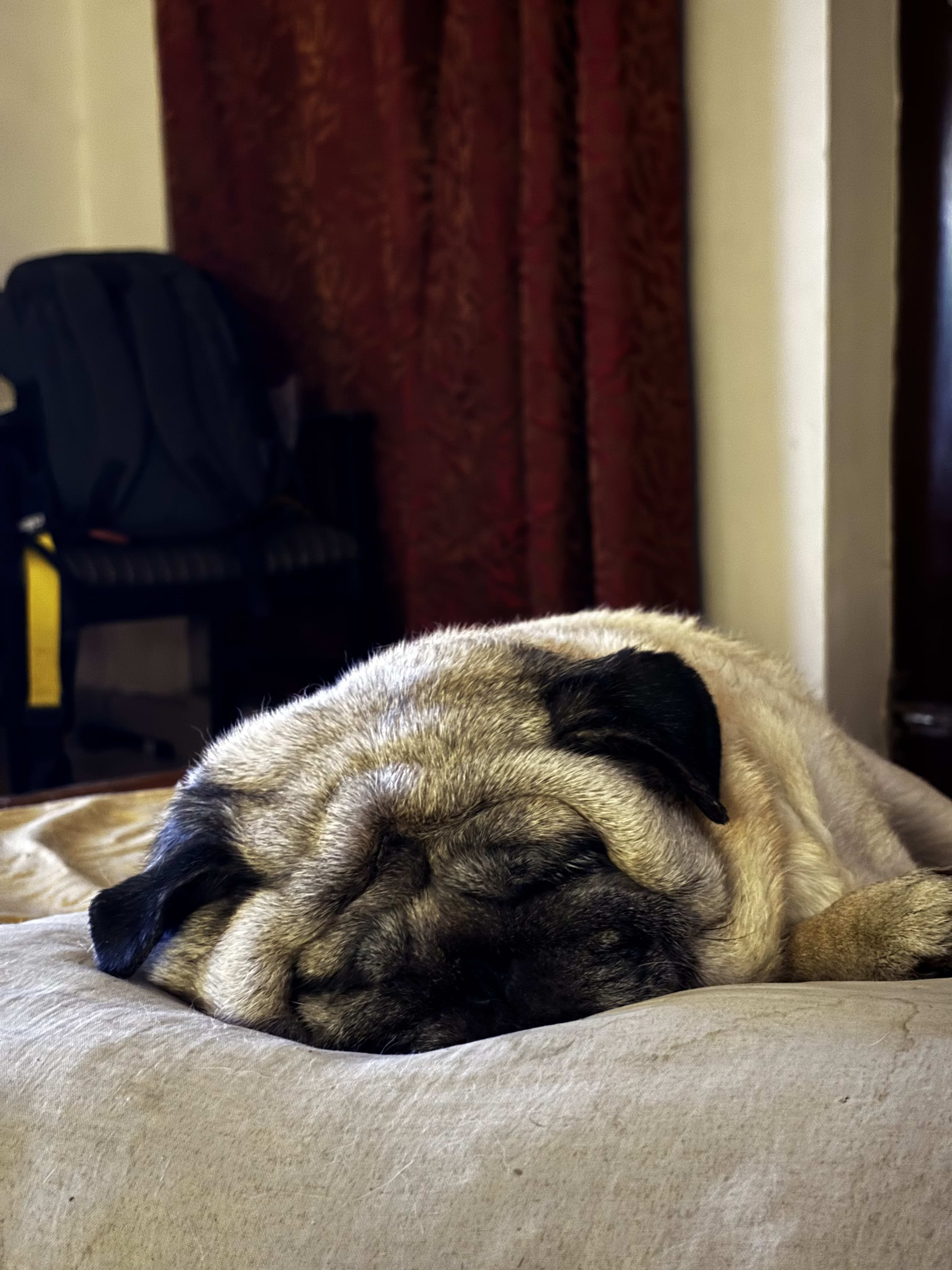 Madness's Farcaster avatar