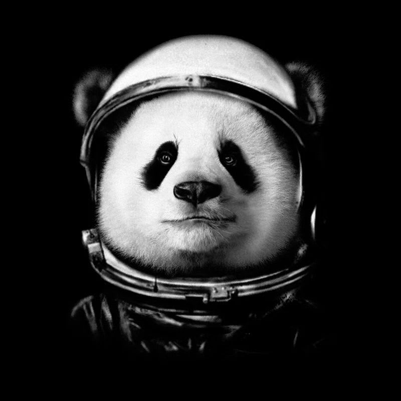 pandabaeru.base.eth Basenames (.base.eth domains) based on ENS PFP