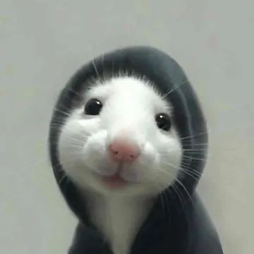 ratthew (y0uts) Farcaster social identity (Fname handle) PFP