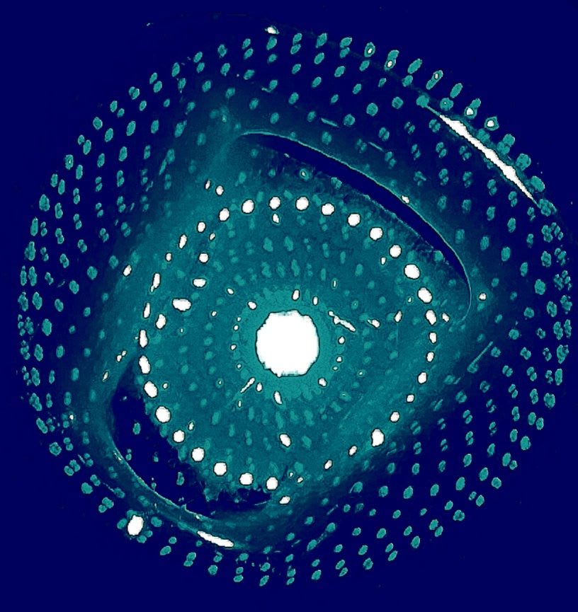 cucurrently.base.eth Basenames (.base.eth domains) based on ENS PFP