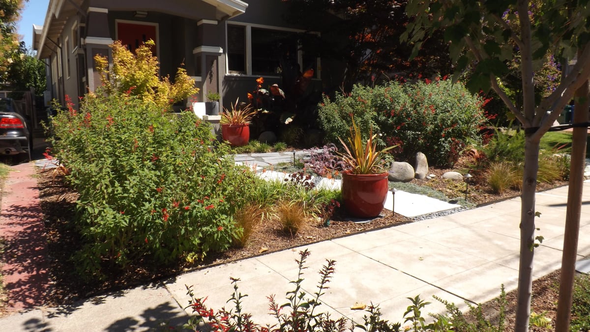 Garden stone path surrounded by greenery