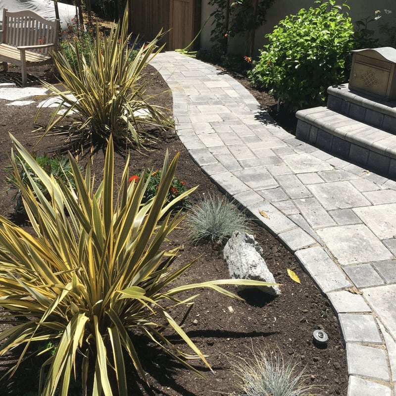 Garden installation and landscape design in Oakland