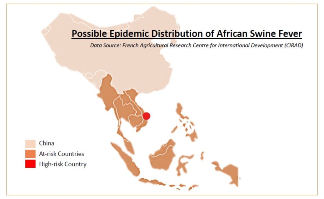 Outbreaks of African Swine Fever could Spill into ...