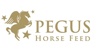 Pegus_Logo