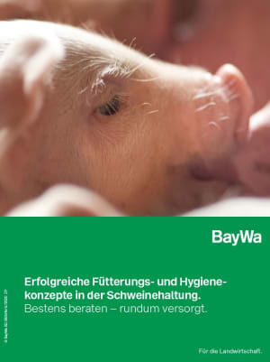 Fütterungs- & Hygienekonzepte Schwein