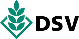 logo_dsv_saaten