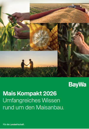 Mais Kompakt 2026