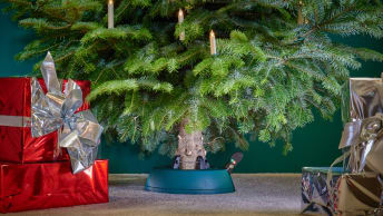 So steht Ihr Christbaum fest und sicher!
