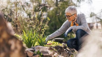 Gartenpflege, die Wirkung zeigt
