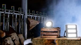 Patura LED-Beleuchtung für Ställe, Reithallen und Werkstätten