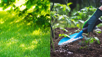 Profi-Dünger für den Gartenbau