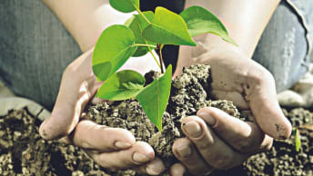 Środki Ochrony Roślin