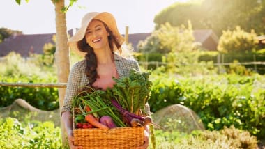 Gartenkalender für Juni