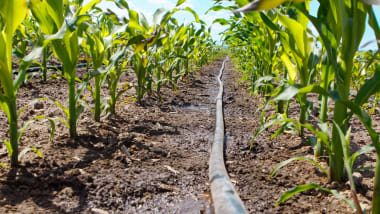 Smart Farming Bewässerungssteuerung