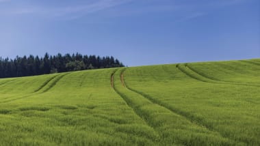 Ökologische Landwirtschaft